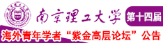 欧美大几把插我比南京理工大学第十四届海外青年学者紫金论坛诚邀海内外英才！